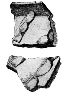 Fig.  11.  —  Fragments  de  poterie  noire. 