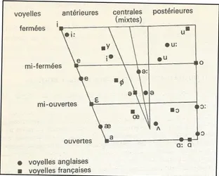 Figure 1 :  Répartition des voyelles  d'après Malmberg 