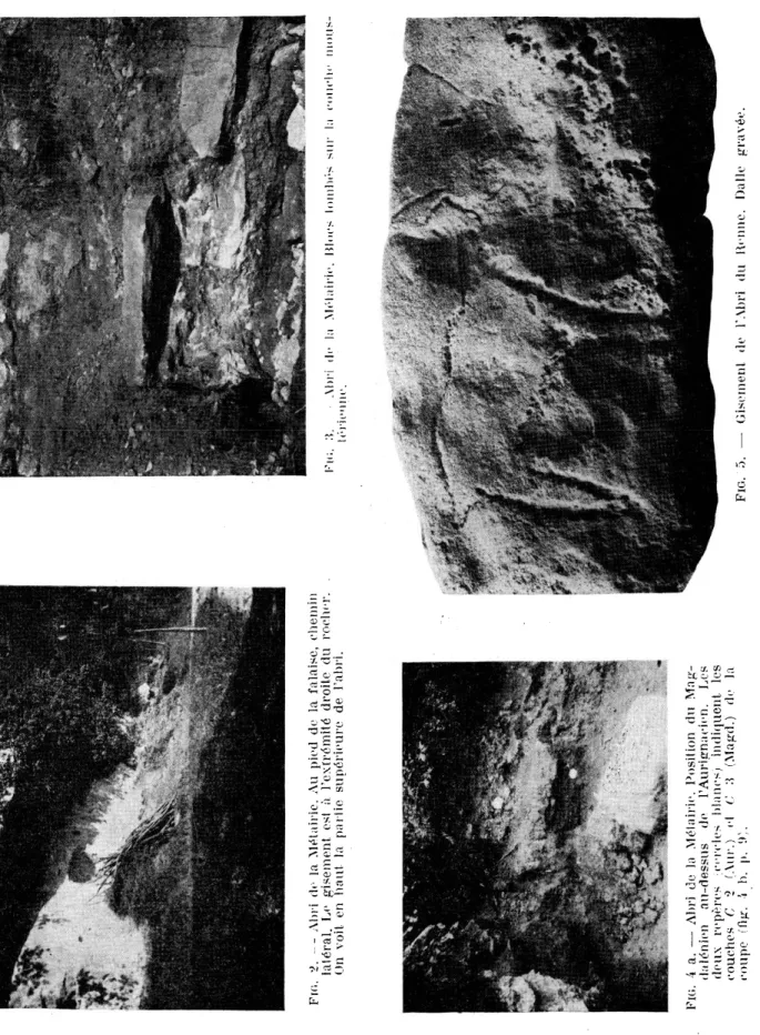 Fig.  2.  — Abri  de la Métairie. Au  pied de  la falaise,  chemin  latéral.  Le  gisement  est  à  l'extrémité  droite  du  rocher