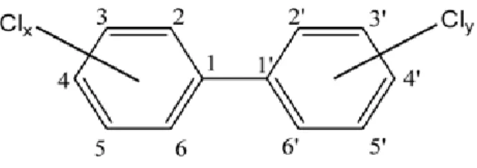Figure 5  : Structure chimique générale des congénères de PCB (x = 1 à 5 et y = 0 à 5) 