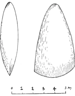 Fig.  1.  —  Tancoigné.  Hache  en  jadéite. 