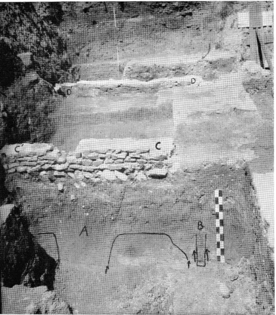 Fig.  4.  — Vue générale du  chantier  d'Est  en  Ouest.  A,  B :  fosses de  fondation du rempart  de Tibère