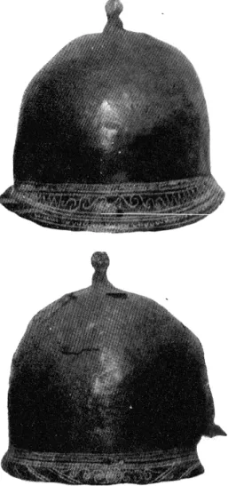 Fig.  1.  — •  Casque  de Montpellier  (profil  gauche). 