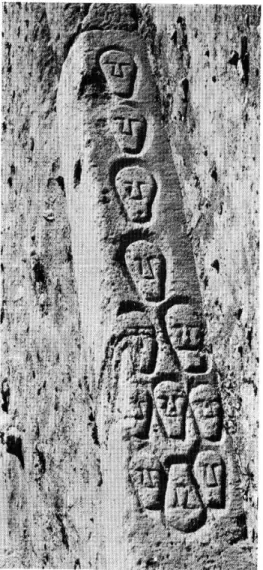 Fig.  5.  —  Pilier  décoré  de  douze  «  tètes  coupées  »,  dans  sa  position  de  remploi
