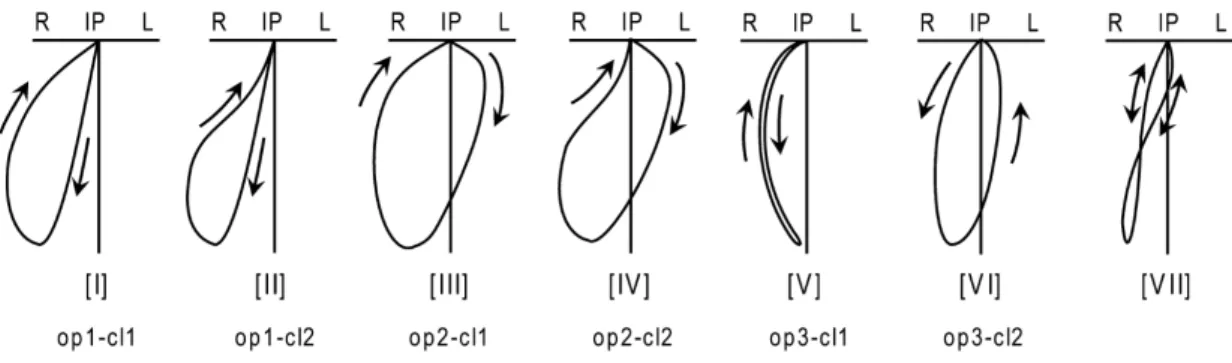 Figure 16 - Classification des différents cycles masticatoires en vue frontale d’après Shiga  Trois chemins d’ouverture (op1, 2 et 3) et 2 chemins de fermeture (cl1 et 2)