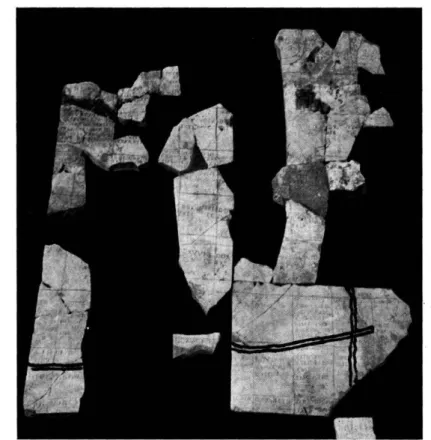 Fig.  il. — Cadastre A.  Plaques III H et  J,  aspect général. 