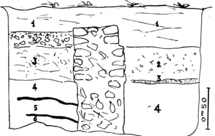 Fig. 9.  — A gauche, salle XVI (1  terre remaniée, 2  sol, 3  argile et  sable,  4  argile brune,  5  foyers,  6  argile blanche) ;  à droite,  salle  X (2 argile 