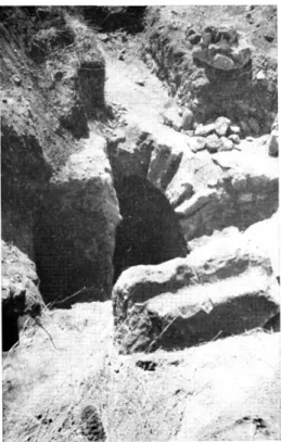 Fig.  12.  —  Puisard de  la  salle  LX,  vu  du  sud.  Au fond,  le  mur  nord  de  la 