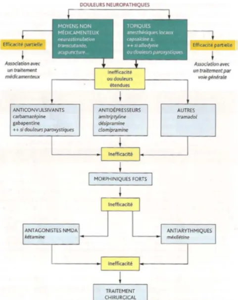 Figure 8 : Attitude thérapeutiques à adopter vis-à-vis des douleurs neuropathiques   (D’après Attal et al