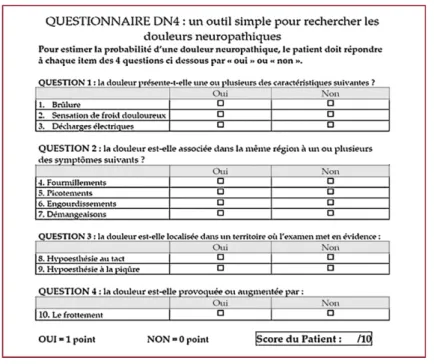 Figure 1 : Questionnaire DN4 (Martinez et al. 2010) 