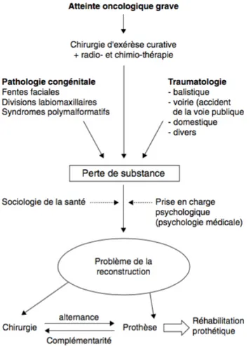 Figure 1 : Symbiose chirurgico-prothétique (Pomar et Dichamp 2004) 