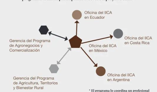 Figura 2.  Relacionamiento de las Oficinas del IICA y los  programas técnicos participantes a través del proyecto SIAL*.