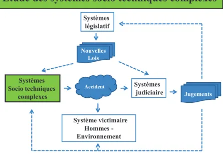 Figure 8 - Etude des systèmes socio techniques complexes. 