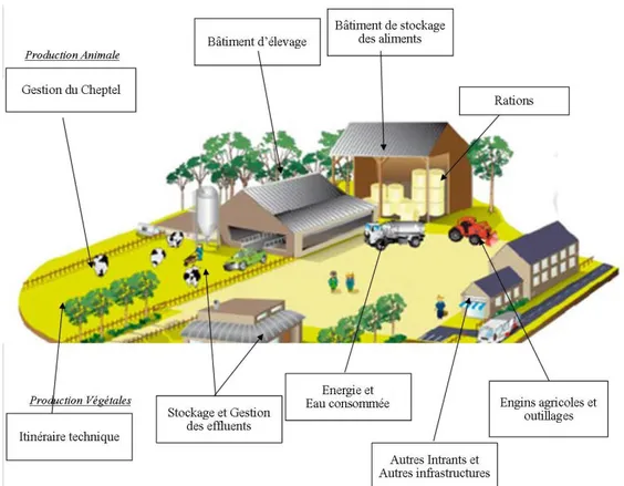 Figure 7 : Catégorie d'informations collectées pour les analyses de cycle de vie 