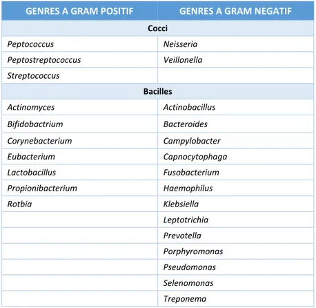 Tableau 1 : Principaux genres bactériens de la plaque dentaire  GENRES A GRAM POSITIF  GENRES A GRAM NEGATIF 