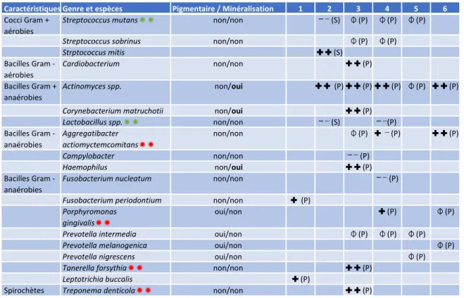 Tableau 2 : Bactéries retrouvées dans les différentes études chez les patients avec des BS 