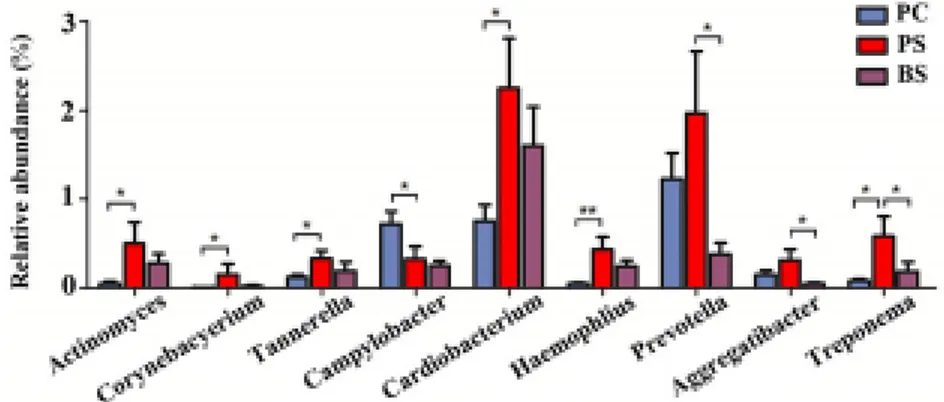 Figure 5: Comparaisons de microbiote buccal présentant des teneurs significativement différentes  dans la plaque dentaire du groupe avec BS (PS), le groupe témoin (PC) et les BS (BS)  