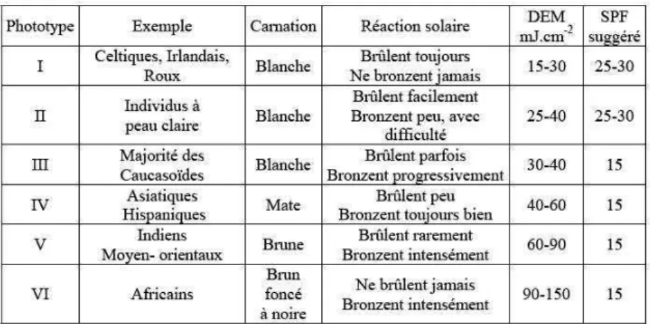 Figure 6 : Phototypes de peau : classification de Fitzpatrick (13) 