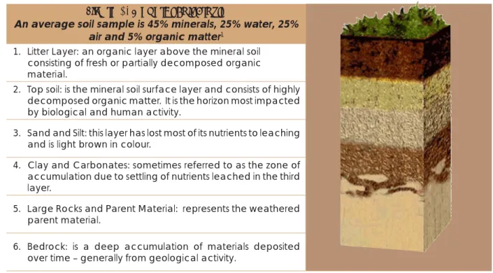 Figure 2: General Soil Profile