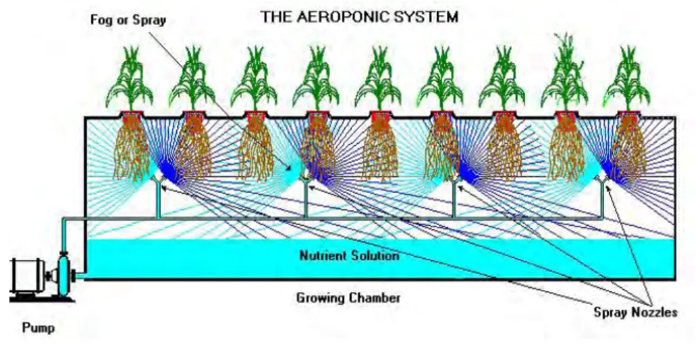 Figure 4: Illustration of an Aeroponic System