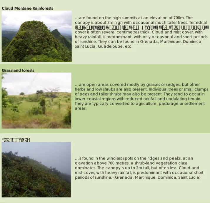 Table 2: Forest Types of the Caribbean