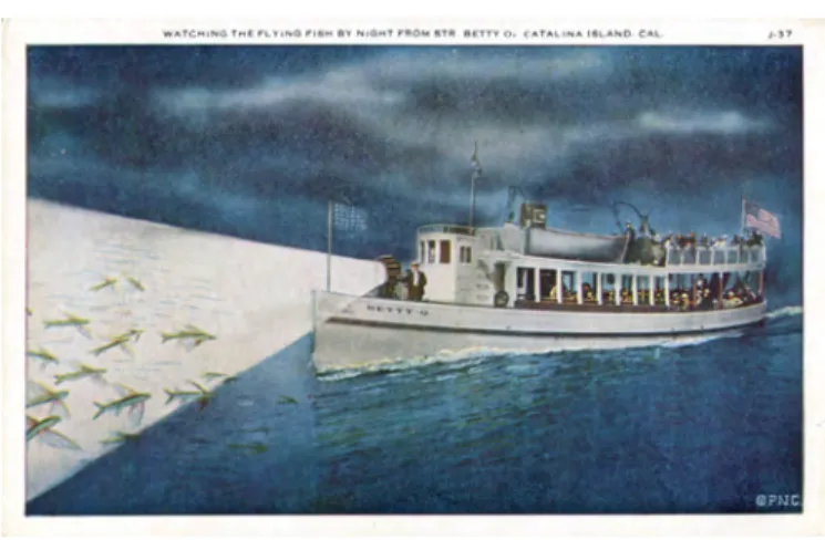 Fig. 12 : Carte postale envoyée par Sergueï Eisenstein à Jean Painlevé depuis  Catalina Island (non datée)