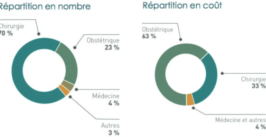 Figure 1 : Répartition en nombre et en coût des réclamations pour sinistres corporels, SHAM 