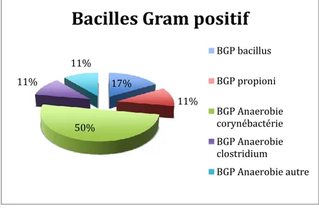 Figure 23: distribution des familles bactériennes au sein des BGP. 
