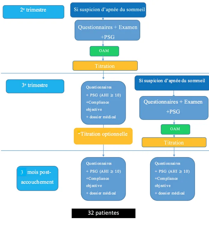 Figure 1.7 : Organigramme du déroulement de l’étude 