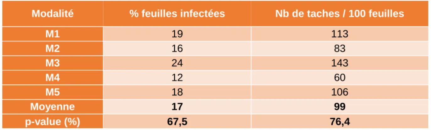 Tableau 3. Evaluation de l'infection sur la parcelle expérimentale (Source personnelle) 