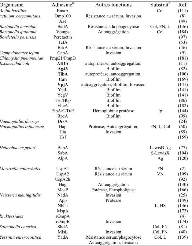 Tableau 1 : Les adhésines autotransporteurs.  