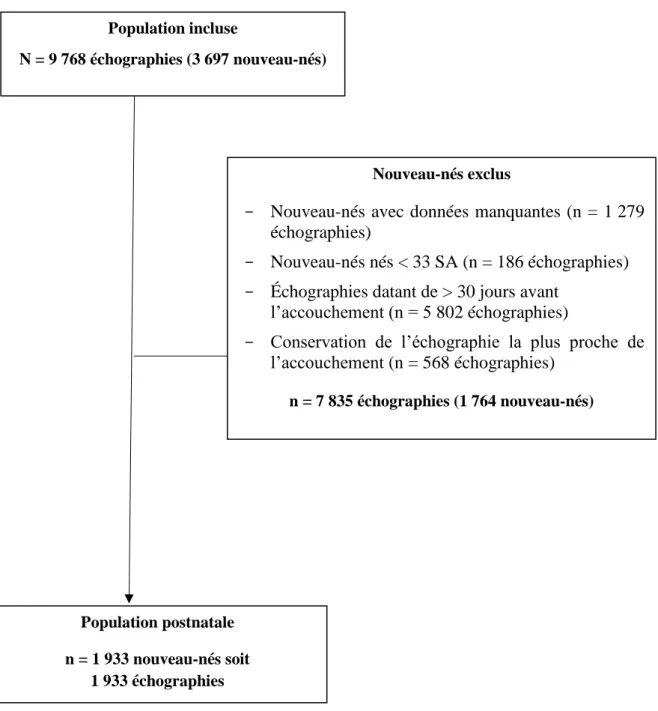 Figure 2 : Flow-chart de sélection de la population de nouveau-nés 