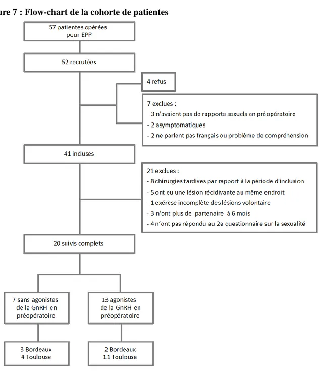 Figure 7 : Flow-chart de la cohorte de patientes 