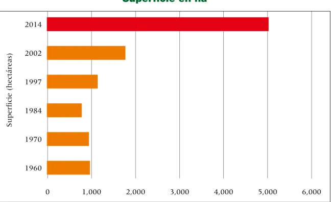 Figura 6. Tamaño promedio de las fincas superiores a 500 ha  entre 1960 y 2014. 