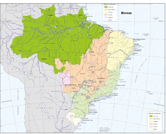 Figura 3. Biomas del Brasil