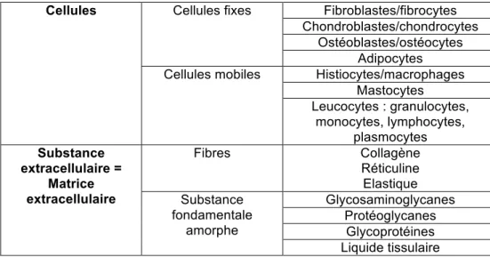 Figure 1 : Tableau des différentes cellules rencontrées dans le tissu conjonctif (2) 