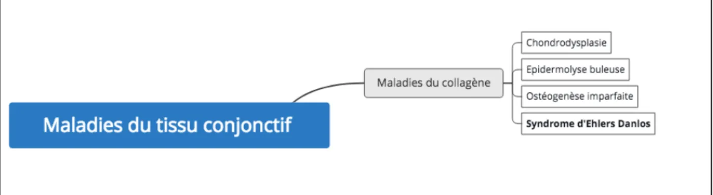 Figure 5 : Les principales maladies du collagène 