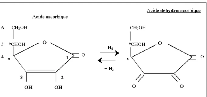 Figure 1 : Couple acide ascorbique / acide déhydroascorbique 