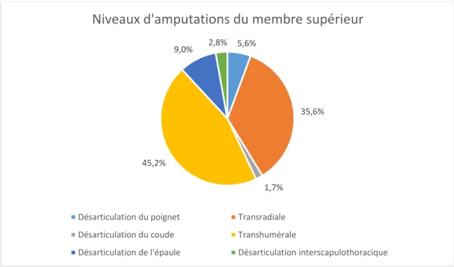 Figure 3. Répartition des différents niveaux d’amputation majeure du membre  supérieur (PMSI 2008) (9) 5,6% 35,6%1,7%45,2%9,0%2,8%