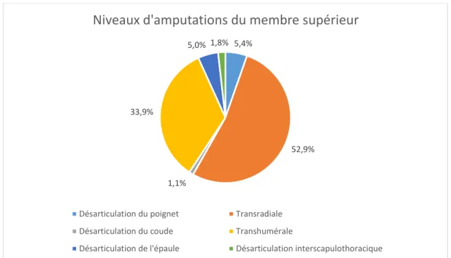 Figure 6. Répartition des différents niveaux d’amputation majeure du membre inférieur  (LIMBLESS 2011-2012) (14) 5,4% 52,9%1,1%33,9%5,0% 1,8%