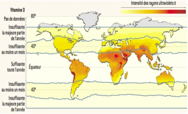 Figure  2.  Cartographie  planétaire  de  l’intensité  des  UVB  atteignant  la  surface  terrestre  (17)