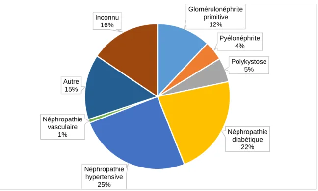 Figure 2 : Néphropathies initiales des patients en IRCT (source : REIN 2015) (17) 