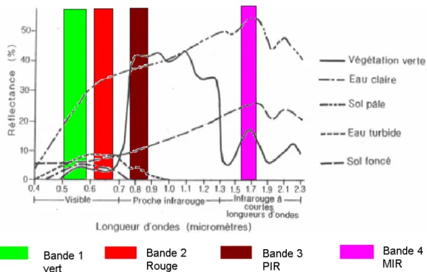 Fig. 2.2 : Courbes de réflectances des matériaux typiques de surface et bandes spectrales de  SPOT 5