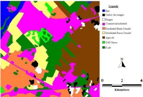 Figure 2.4 : Vérité terrain obtenue par photo-interprétation. 