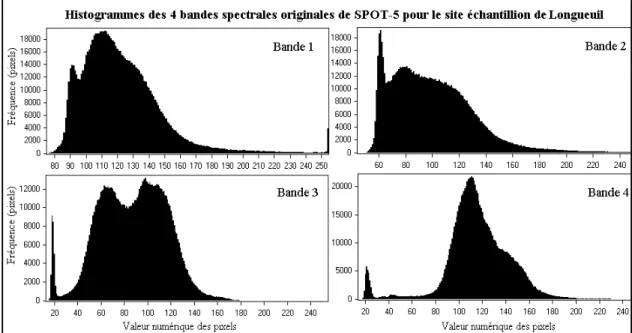 Figure 2.5 : Histogrammes des valeurs numériques des bandes spectrales 