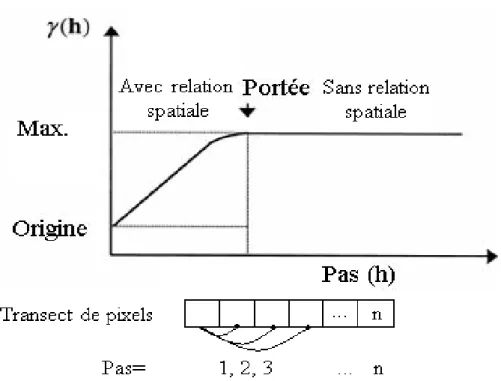 Fig. 2.9 : Paramètres  types d’un semi-variogramme 