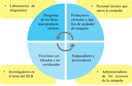 Figura IV. 1. Actores clave de la campaña contra el HLB en México