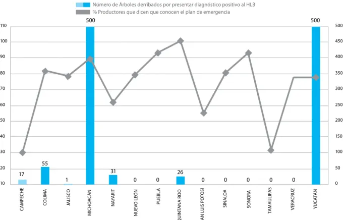 Figura VI.2. Árboles eliminados por diagnóstico positivo al HLB y porcentaje de  productores que dijeron conoce los protocolos de acción