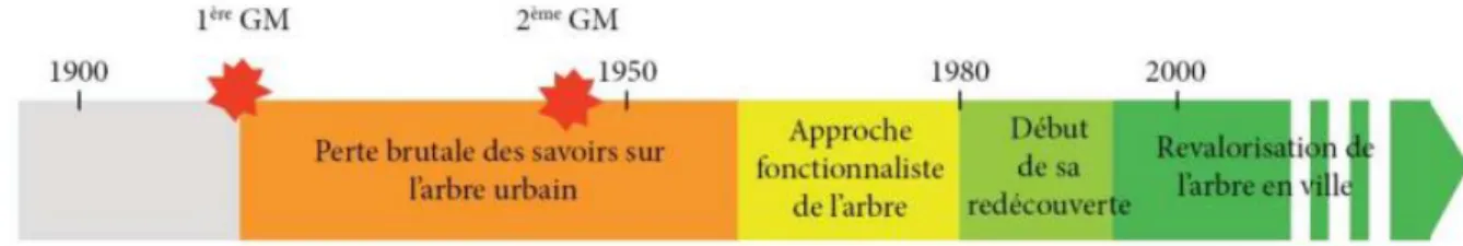 Figure 11 : L’évolution de la place de l’arbre urbain au 20ème siècle, d’après la charte de l’arbre du Grand Lyon  (Ségur et Al., 2001) 