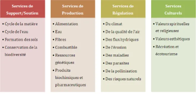 Tableau 1 Les services écosystémiques, Commissariat Général au Développement Durable, 2020 